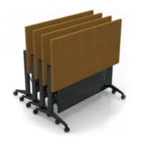 JIN 1 Training Table