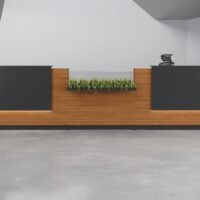 Beetle Reception Desk