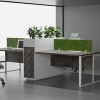 Sync 4 Cluster Planter Workstation Sync 4 Cluster Planter Workstation