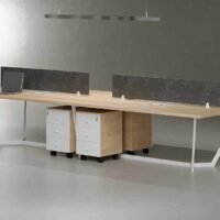 Snow 4 Cluster Workstation Snow 4 Cluster Workstation