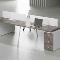 Delta 4 Cluster Workstation