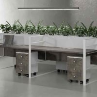 Bank 4 Cluster Planter Workstation