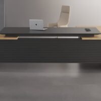 Mars CEO Executive Desk