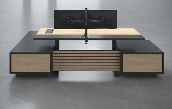 Kora Ergonomic Executive Desk