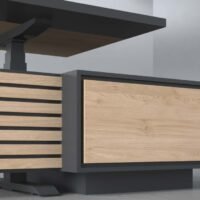 Kora Ergonomic Executive Desk Kora Ergonomic Executive Desk