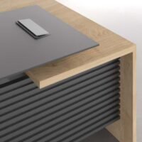 Mars CEO Executive Desk