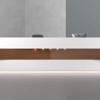 Bumblebee Reception Desk