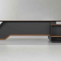 Zig Straight CEO Executive Desk