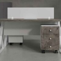 Nelly 2 Cluster Workstation