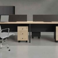 Nelly 4 Cluster Workstation