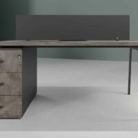 Delta 2 Cluster Workstation