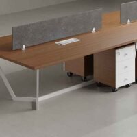 Snow 6 Cluster Workstation