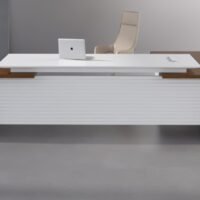 Mars CEO Executive Desk