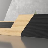 Peanut Reception Desk