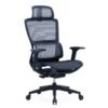 Molly Black Ergonomic Chair