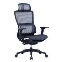 Molly Black Ergonomic Chair Molly Black Ergonomic Chair