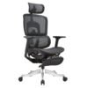 TRJ 900 Ergonomic Chair