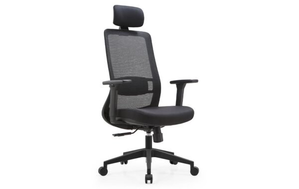 Ergonomic TRJ 145 Executive Chair Black with adjustable settings and premium materials.