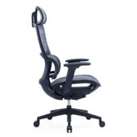 Molly Black Ergonomic Chair Molly Black Ergonomic Chair