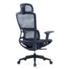 Molly Black Ergonomic Chair