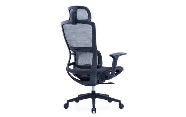 Molly Black Ergonomic Chair