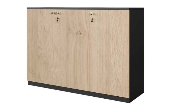 Cabinet - 002 Low Height