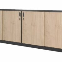 Cabinet - 019 Low Height Cabinet - 019 Low Height