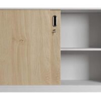 Cabinet - 017 Low Height Cabinet - 017 Low Height