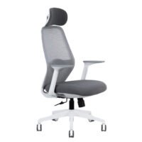 Premium Executive Chair with luxurious leather, ergonomic support, and adjustable settings.