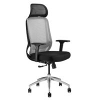 Best Executive Chair – Ergonomic Design and Premium Comfort