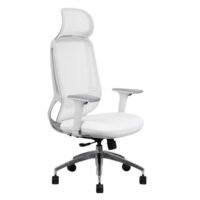 TVR 092 Executive Chair with Ergonomic Support and Leather Upholstery