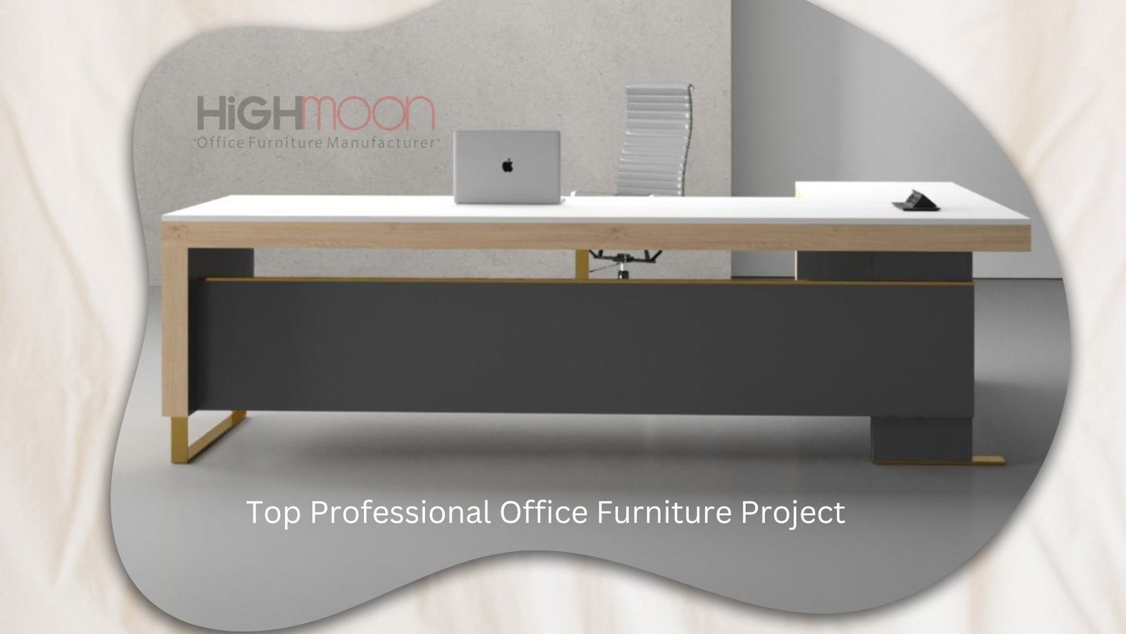Professional Office Furniture Project