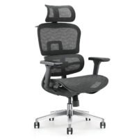 TVR 062 Ergonomic Chair with Adjustable Settings and Mesh Back