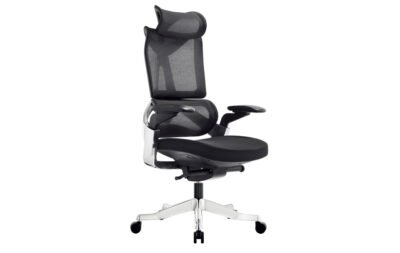 TRJ 900 Ergonomic Chair