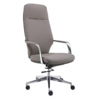 TRJ 420 Executive Chair with ergonomic design, premium materials, and adjustable settings for height and lumbar support.