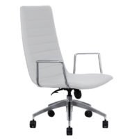 TVR 070 Conference Chair TVR 070 Conference Chair