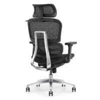 TVR 061 Ergonomic Chair with footrest TVR 061 Ergonomic Chair with footrest
